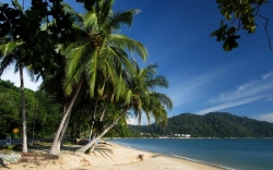 Pangkor